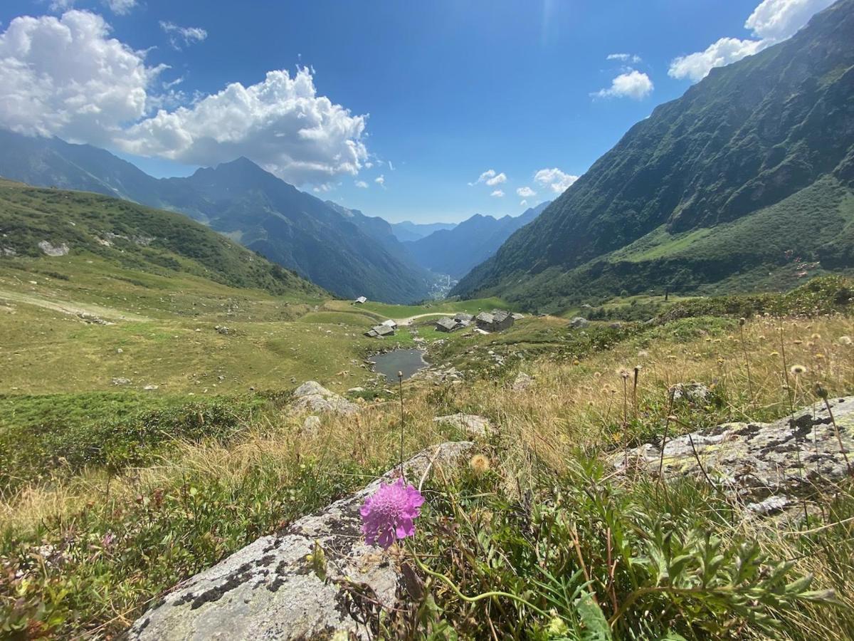 Mountain Cabin Valsesia Appartement Stella فارالو المظهر الخارجي الصورة